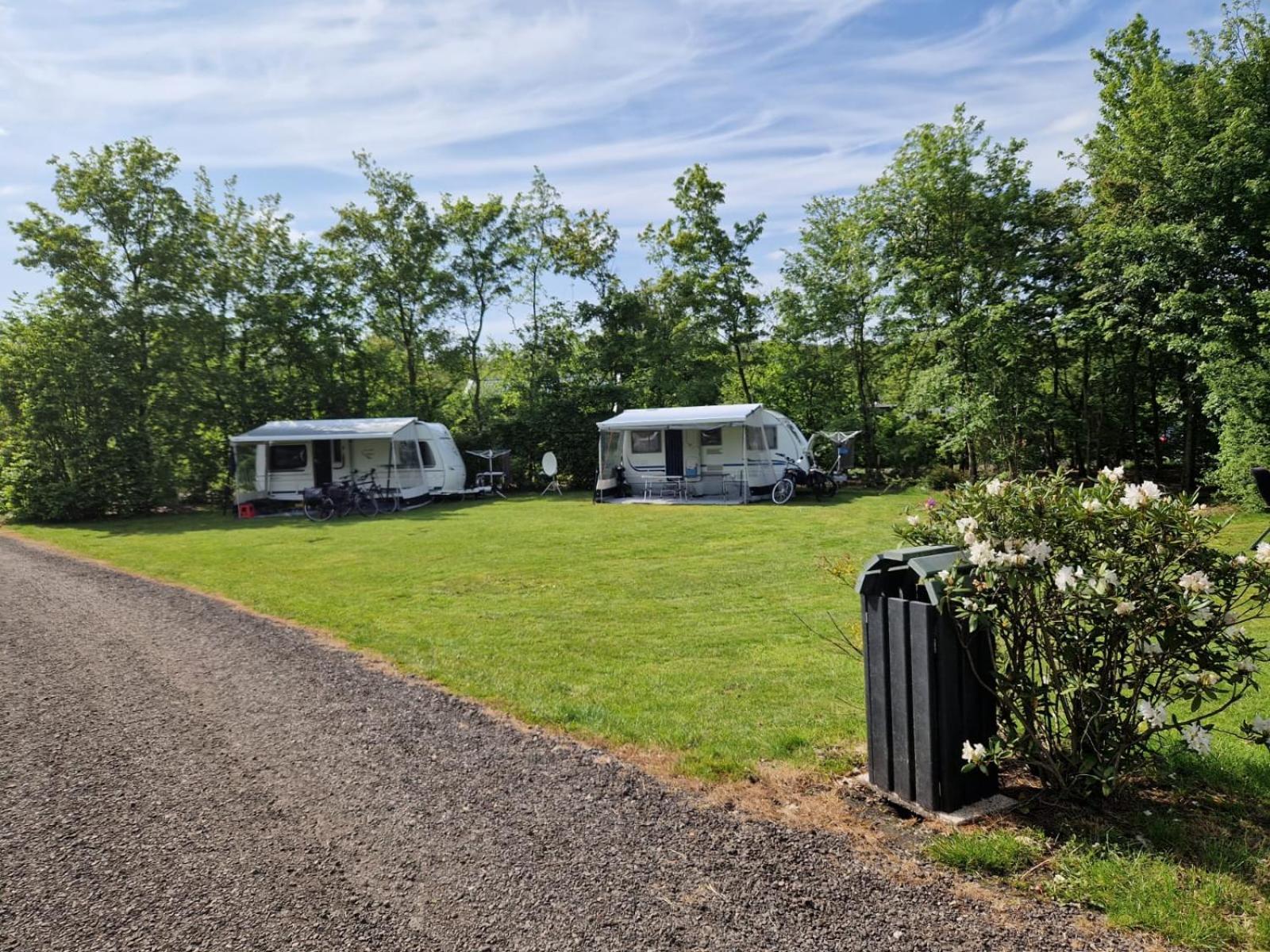 Camping Alkenhaer Appelscha Lege Kampeerplaats Exterior foto